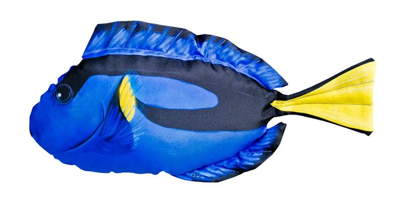 WSB Blue Tang Fish Pillow 50cm